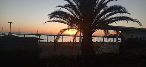 Apartamento Drago 135