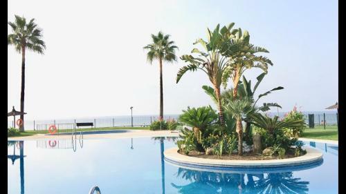 172- Mi Capricho Beachfront Apartment