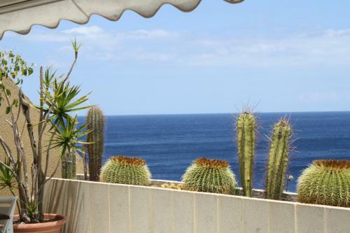 Apartamento Frente Al Mar