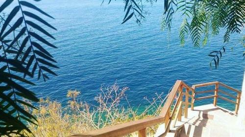 Apartamento Frente Al Mar