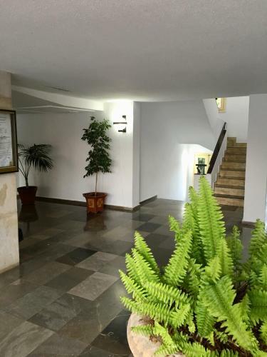 Apartamento Estudio En La Playa