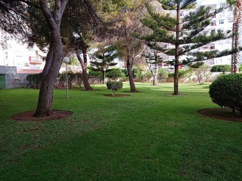 Apartamento Tres Delfines