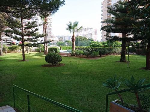 Apartamento Tres Delfines