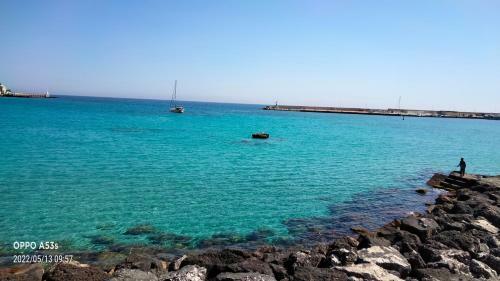 Apartamento Acquario