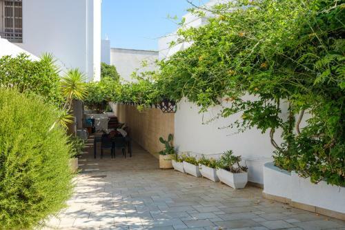App In Villa Con Giardino 2