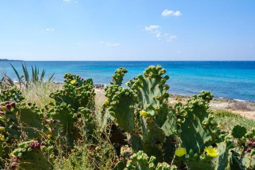 App In Villa Con Giardino 2
