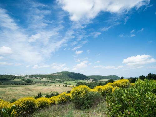 Locazione Turistica Villa Pesca