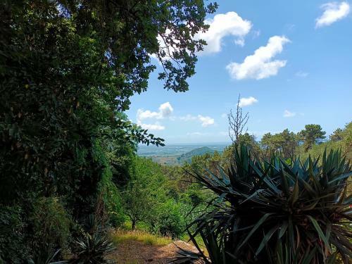 Agroturismo The Lemon Place