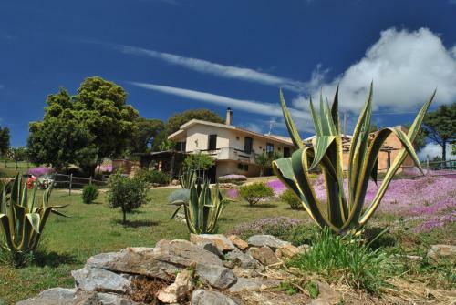 B&B Predda Bianca
