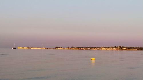 Igloo Sulla Spiaggia