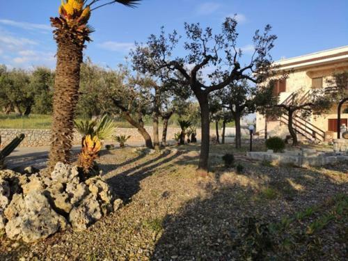 Agroturismo Villa Palmitessa