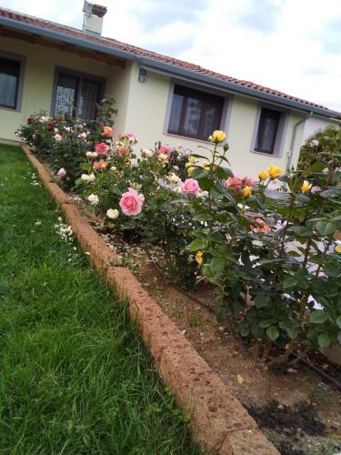 B&B Fili D'erba