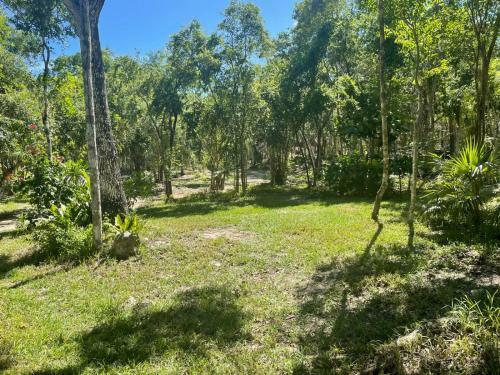 Bunga Lotus Glamping - Otoch Nacom