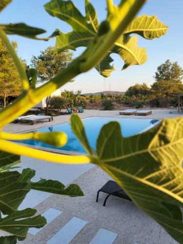 "the 7th Heaven Garden"villa