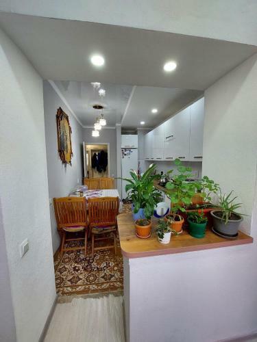 Downtown Hostel