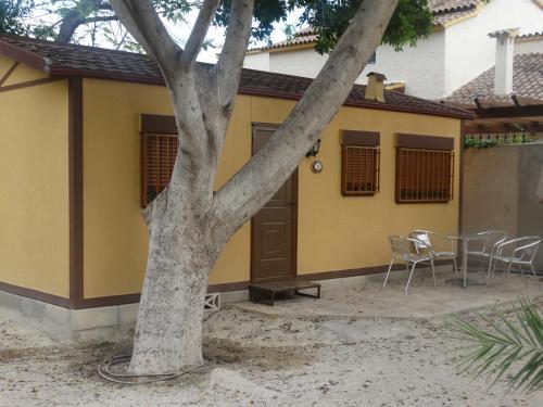 Camping Las Palmeras
