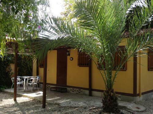 Camping Las Palmeras
