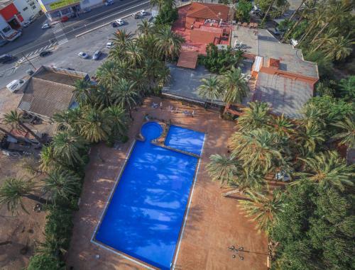 Camping Las Palmeras
