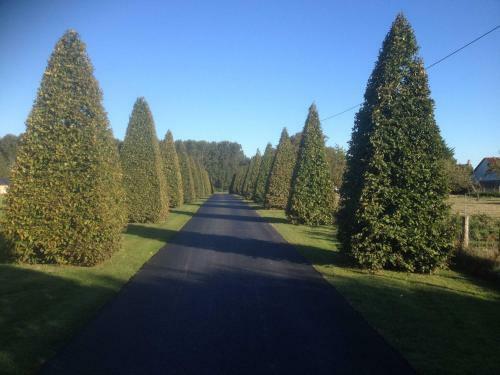 Hostal La Tour Des Plantes