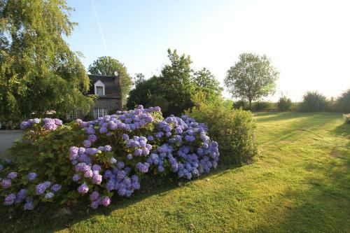 Bed & Breakfast Les Freuberts
