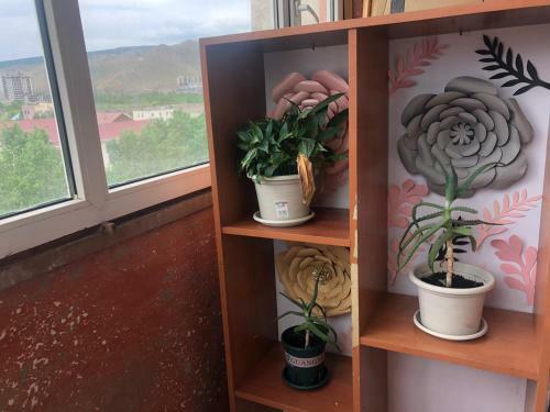 Apartamento Zaisan, Share Room
