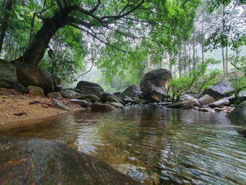 Hotel Canyon Girankittha Nature Resort