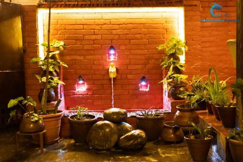 Bed & Breakfast Hotel Dreams Connect Grb