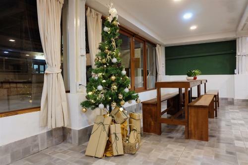 Barn Laos Hostel