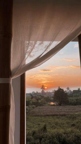 Hostal Fireflies Guest House - Chambre Priv�e
