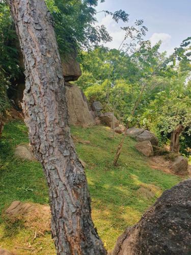 Hostal Dambulla Village Hotel