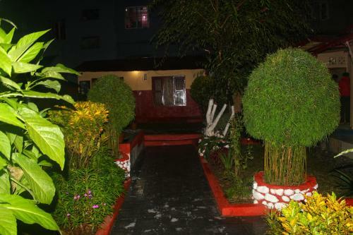 Hotel Red Carpet