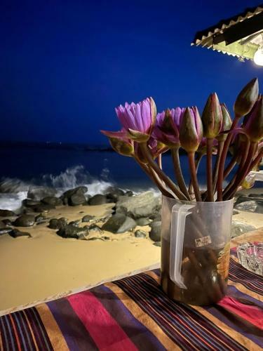 Posada Coconut Palm Guesthouse
