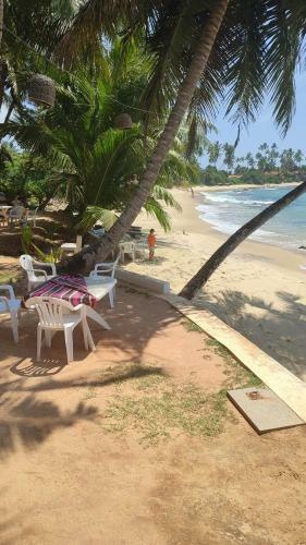 Posada Coconut Palm Guesthouse