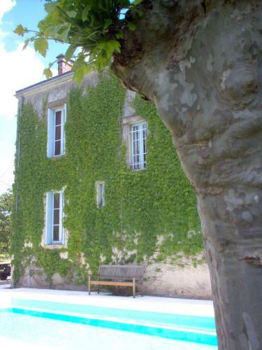 Hostal Ch�teau Des Grandes Vignes