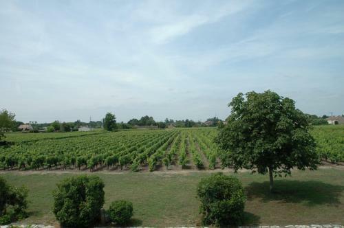 Hostal Ch�teau Des Grandes Vignes