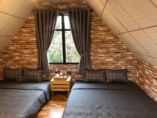 Pine Tree Homestay
