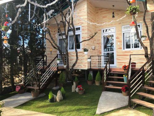 Pine Tree Homestay
