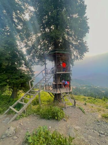 Legrand Hotels And Resorts Malam Jabba