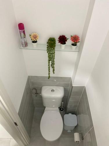 Apartamento ?????.??? ?????