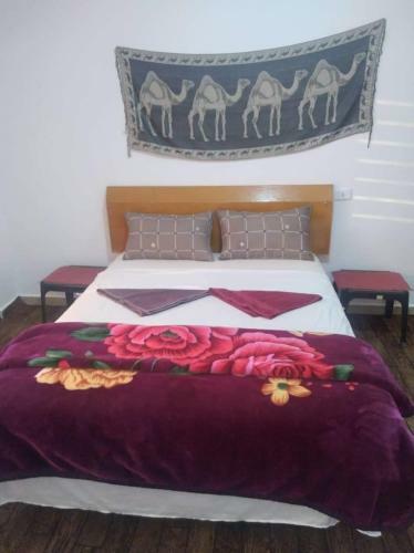 Authentic Bedouin Familie House