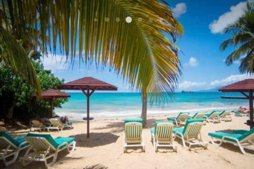 Apartamento Studio Jardin & Mer