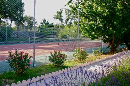 B&B Bastide Avellanne