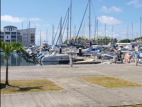 Apartamento Au C?ur De La Marina