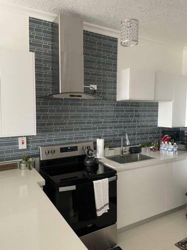 New Kingston Oasis-immaculate 2 Bedroom Apartment