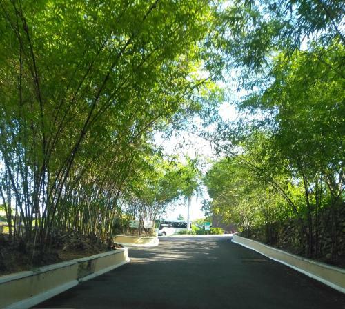 Apartamento Irresistible View-mobay Club