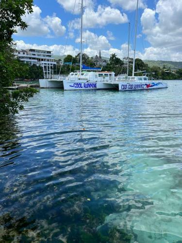 Apartamento Carib Ocho Rios Condo