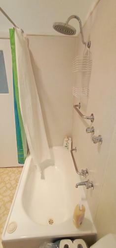 East Geelong - 2 Bedrooms - Mimosa Cottage