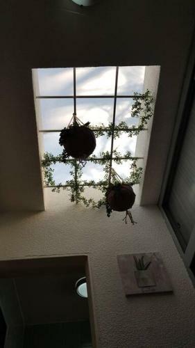Apartamento "e" Loft Privado El Encino Alegr�a Housing