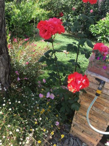 Garden Villa Lura
