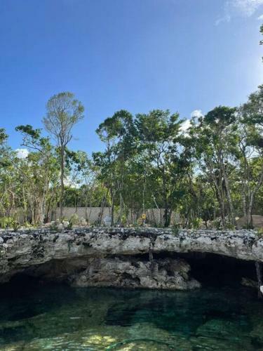 Villa Incre�ble Casa Elevada Con Cenote Privado En Tulum